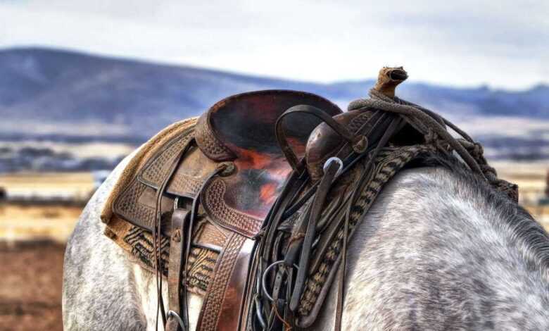 How to Choose a Horse Saddle: A Comprehensive Guide to Finding the Perfect Fit