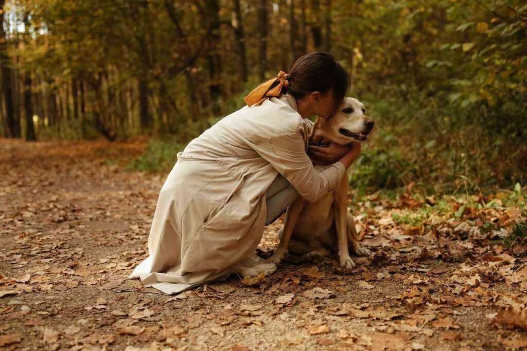 How to Train a Leash Reactive Dog: The Complete Guide to Calmer, More Confident Walks