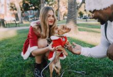 Fashion Forward: Stylish Pet Accessories and Outfits