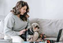 Pet Subscription Boxes: Unboxing the Best Treats and Toys