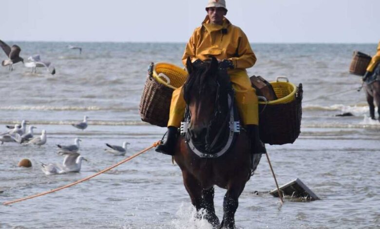 Horseback Fishing: Essential Tips and Techniques