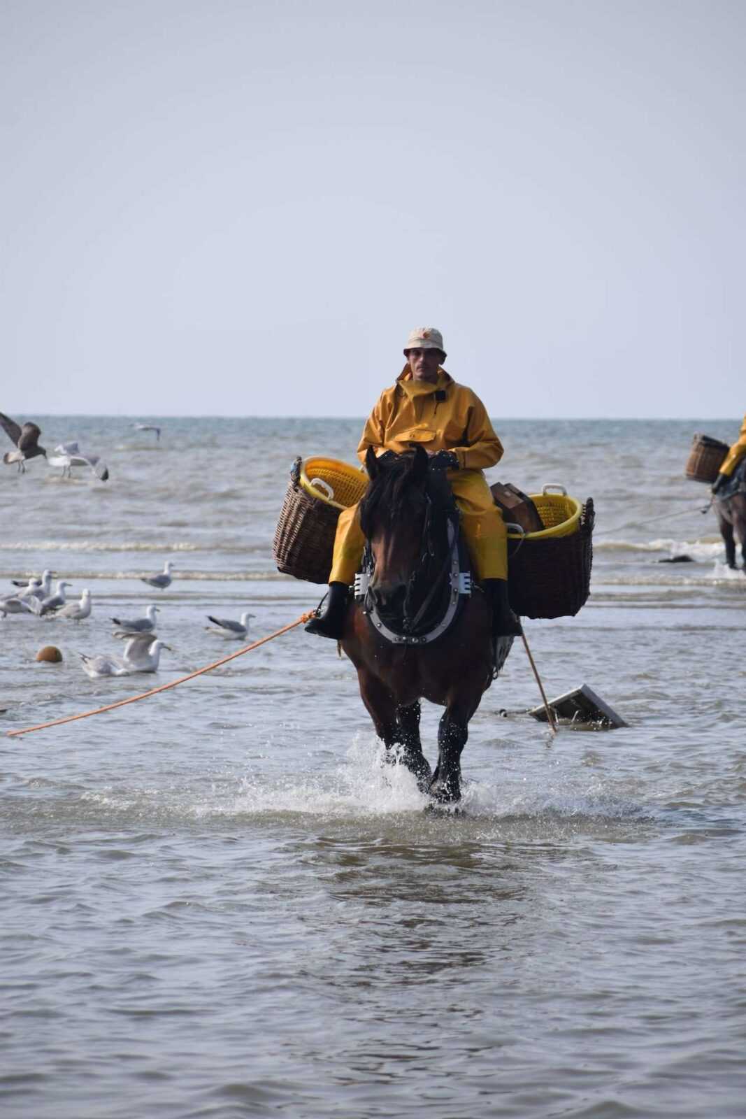 Horseback Fishing: Essential Tips and Techniques