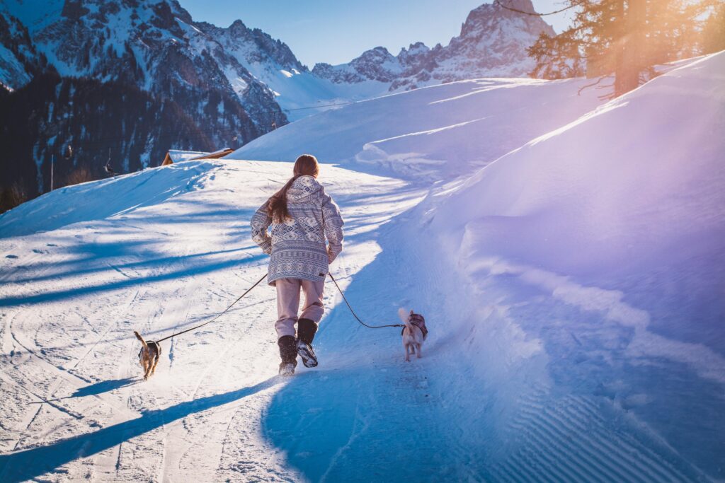 Outdoor Adventures With Dogs: The Complete Hiking, Camping, and Trail Guide
