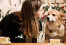 Pet-Friendly Restaurants