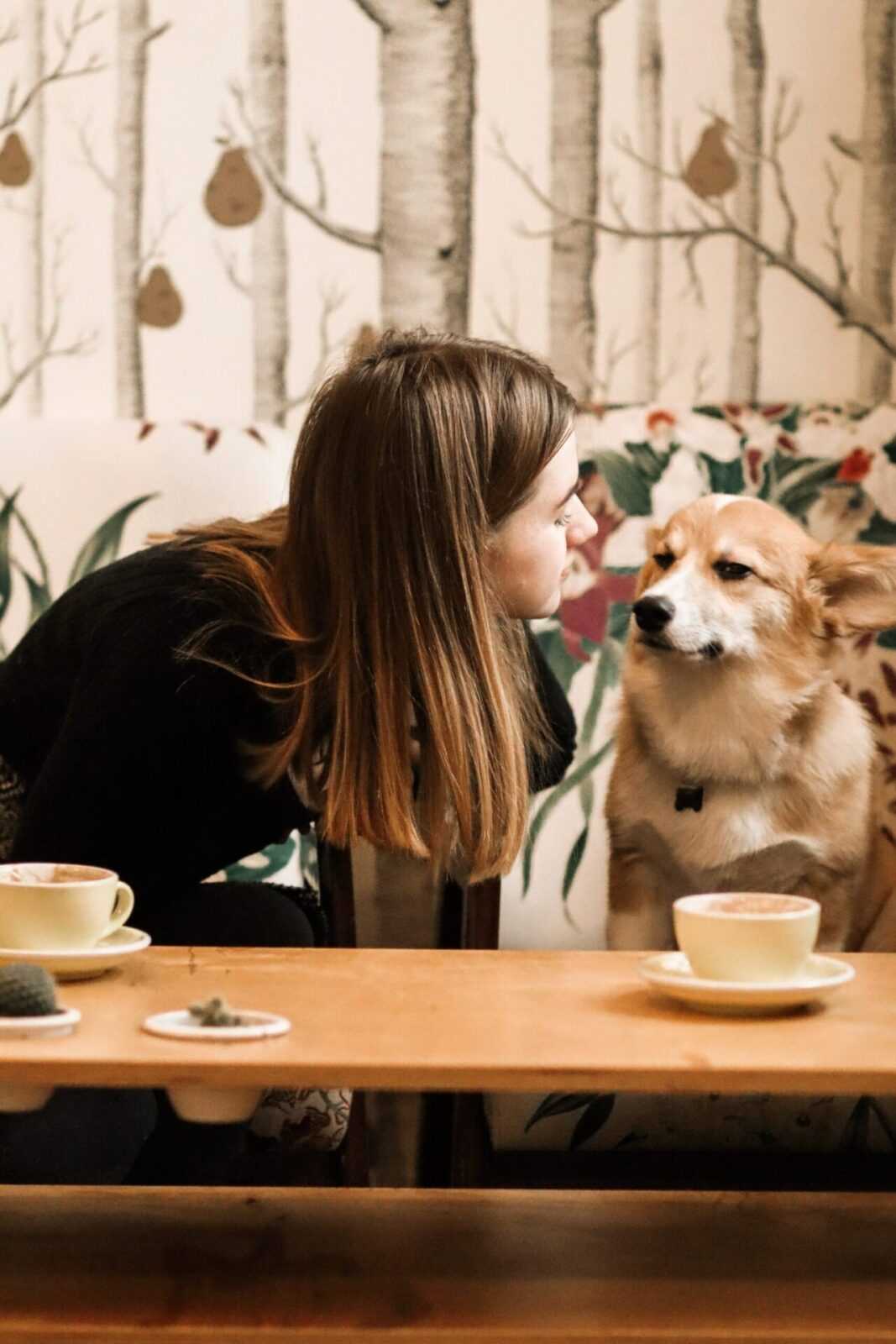 Pet-Friendly Restaurants