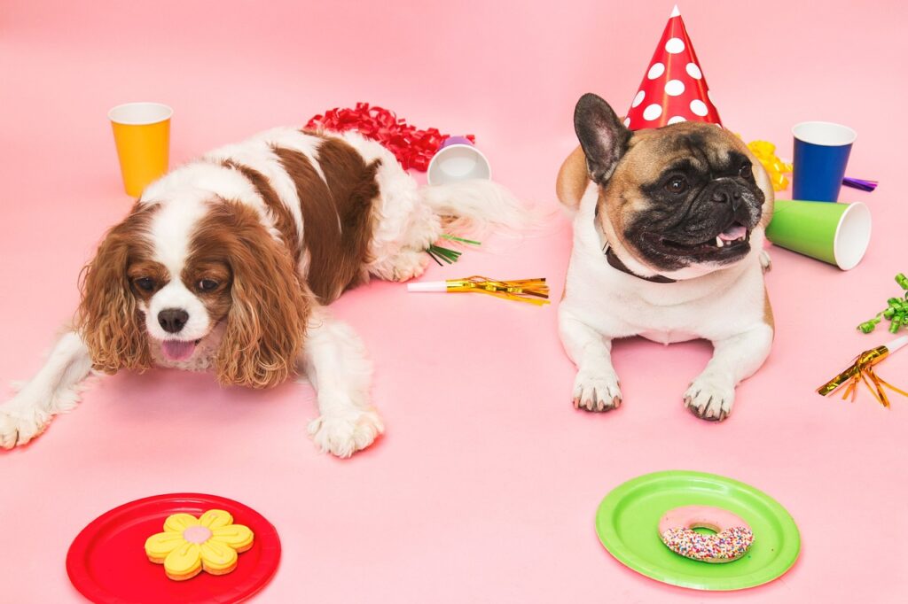 Dog Birthday Party Ideas: How to Throw an Epic Dog Birthday Bash