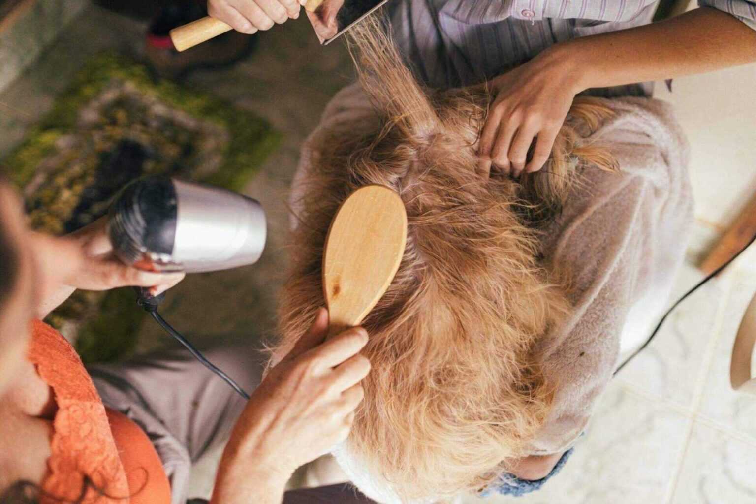 How to Start a Dog Grooming Business From Home: The Complete Entrepreneur's Guide 2026