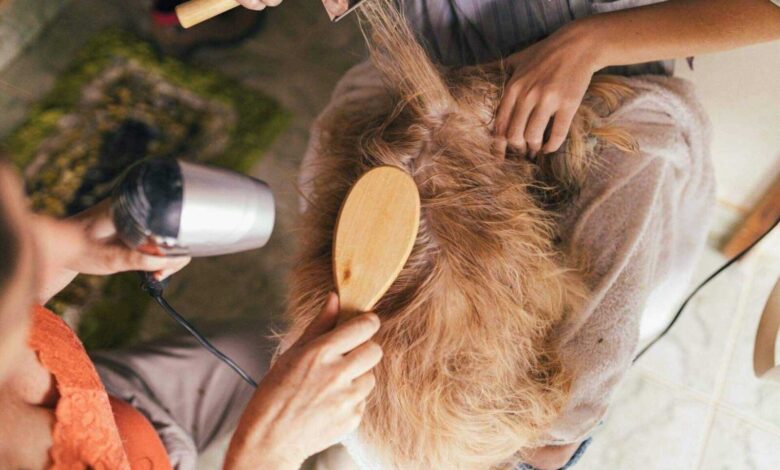 tips for first-time dog groomers