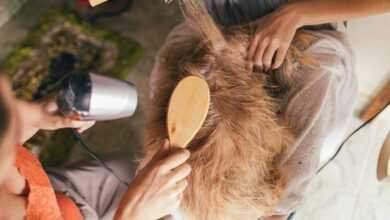 tips for first-time dog groomers