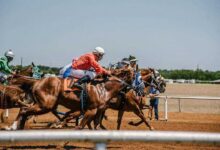 The Thrilling World of Horse Racing: From Odds to Winners