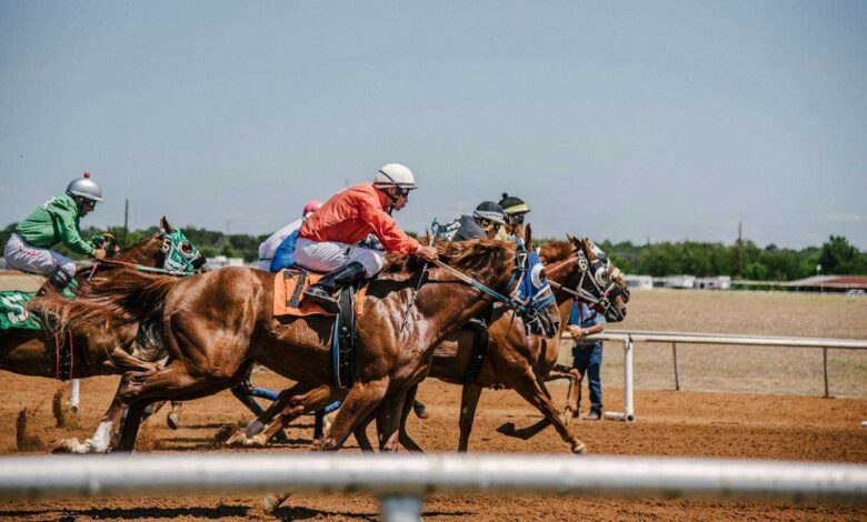 The Thrilling World of Horse Racing: From Odds to Winners