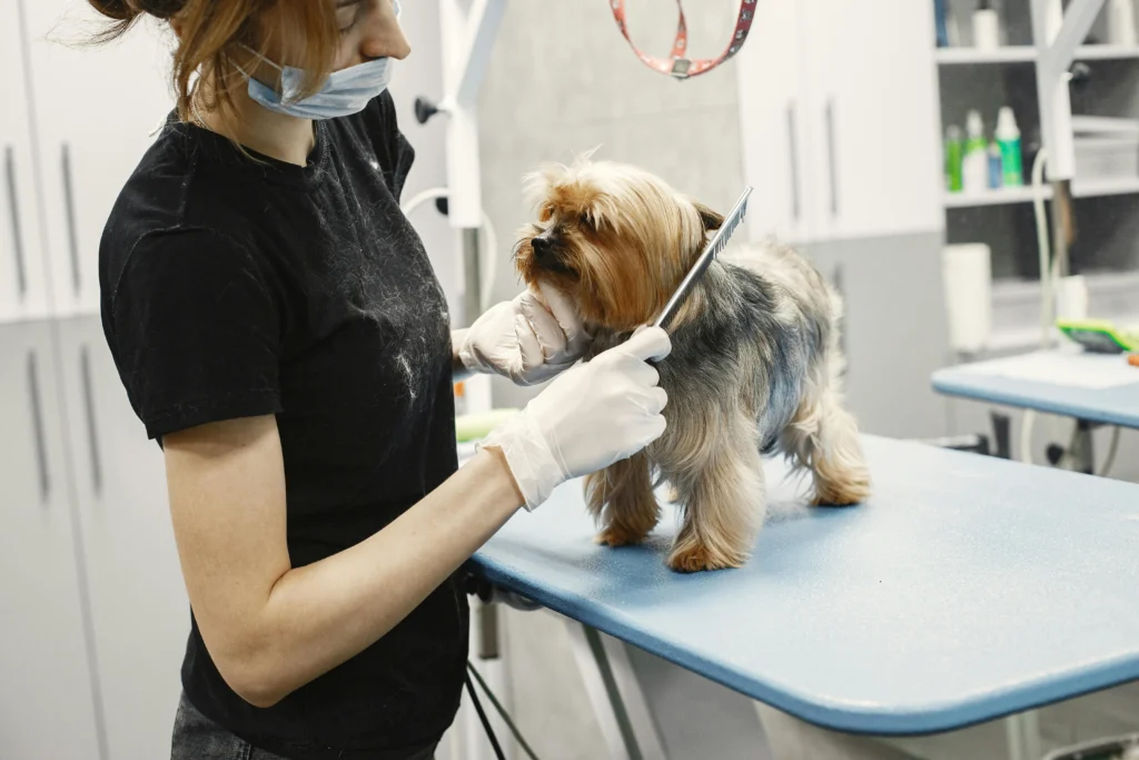 How to Start a Dog Grooming Business From Home: The Complete Entrepreneur's Guide 2026