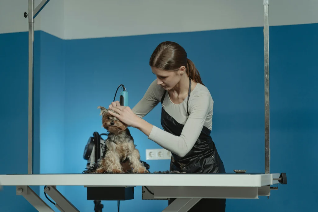 How to Start a Dog Grooming Business From Home: The Complete Entrepreneur's Guide 2026