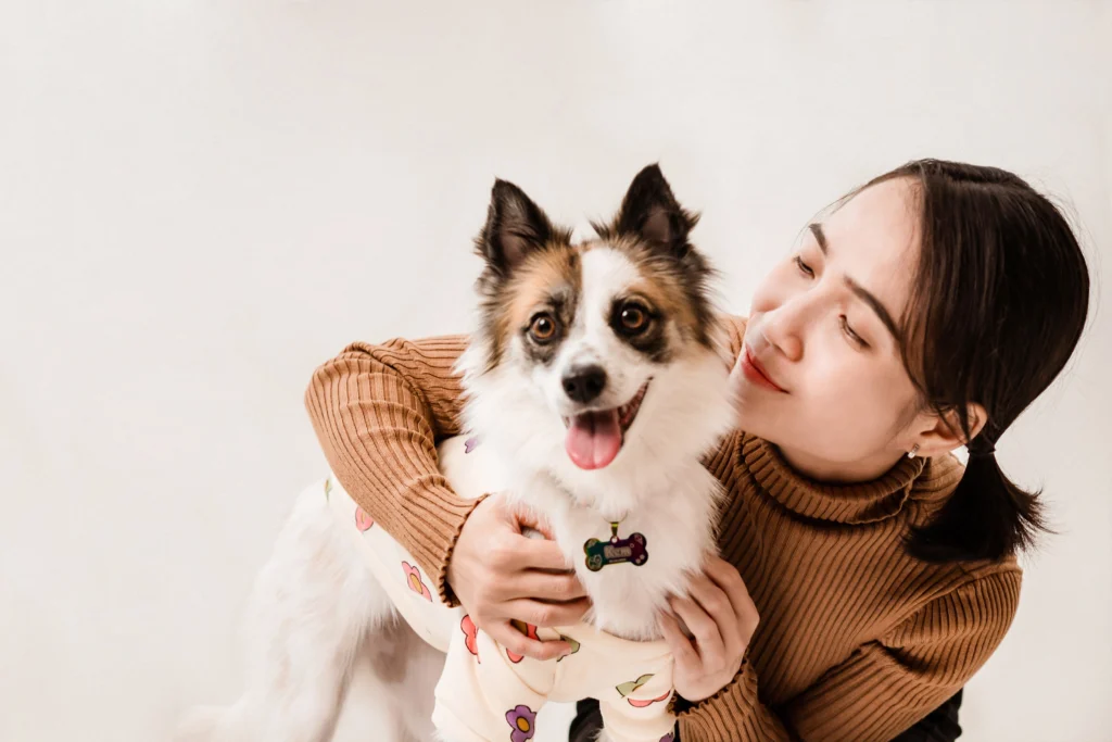Best Low Maintenance Family Dogs 2026: The Complete Breed Selection Guide