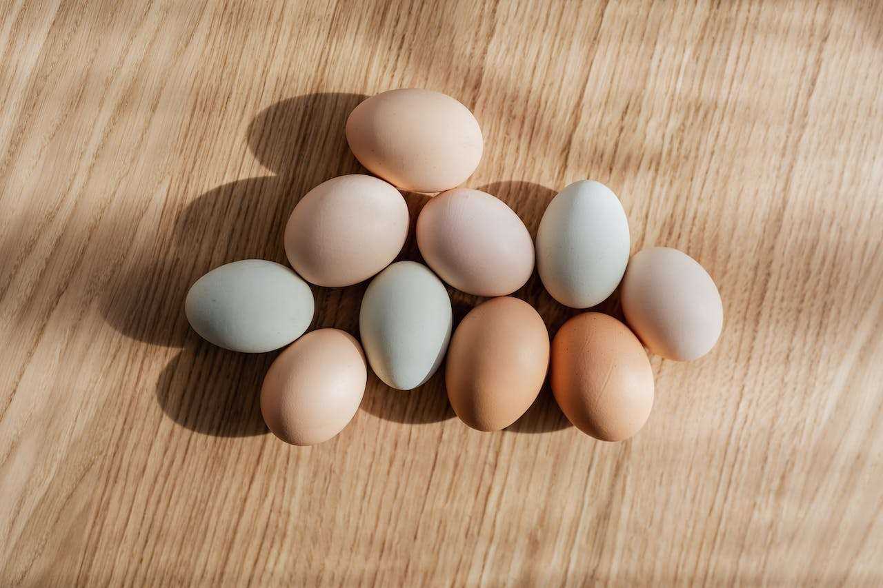 Egg-cellent Breeds: Choosing Chickens for Maximum Egg Production