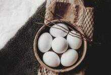 Duck Egg Harvesting Handbook: Collecting and Storing Duck Eggs