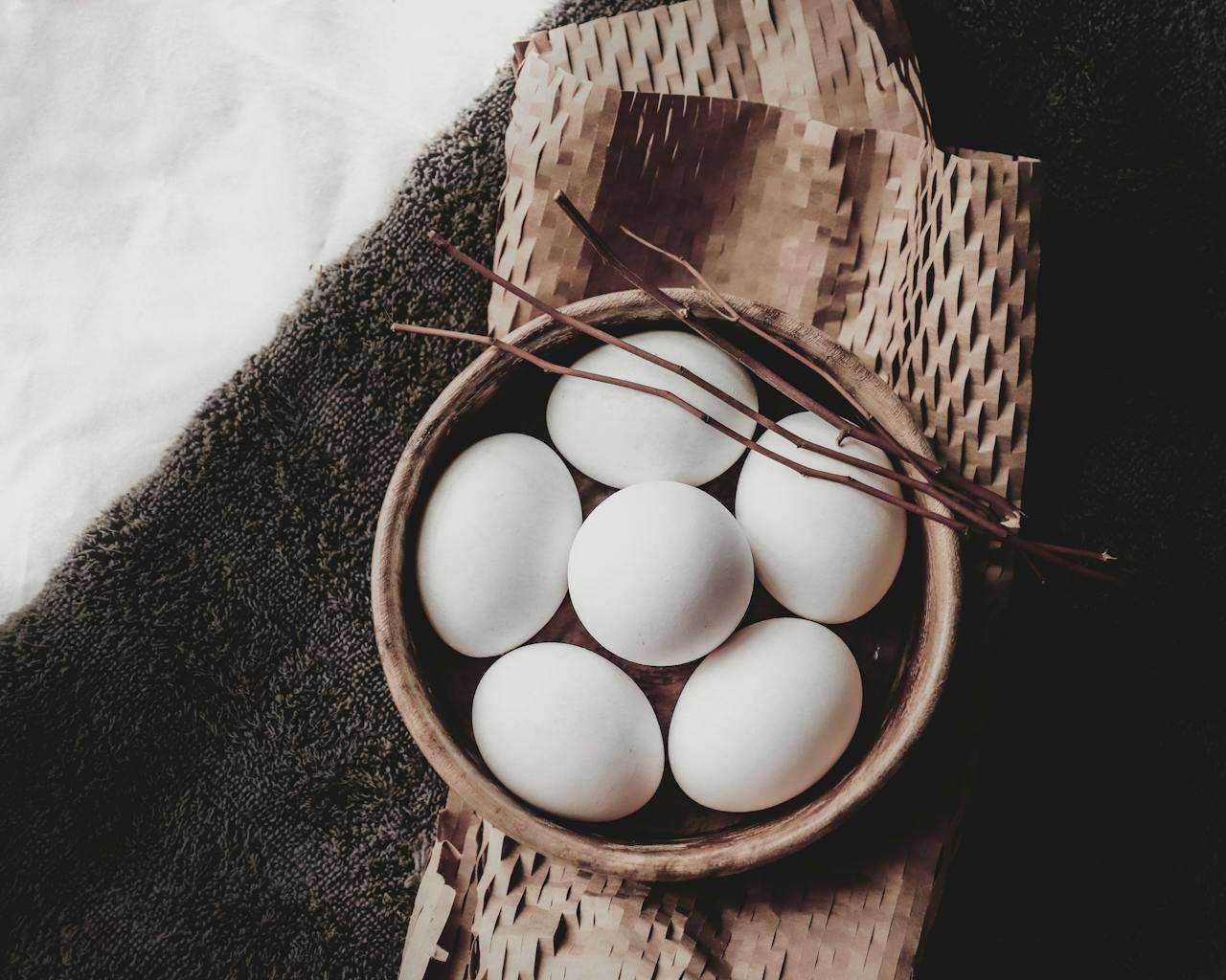 Duck Egg Harvesting Handbook: Collecting and Storing Duck Eggs