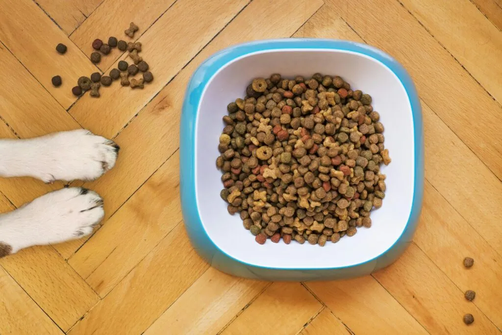 Best Rated Dog Food Brands 2026: The Complete Canine Nutrition Guide
