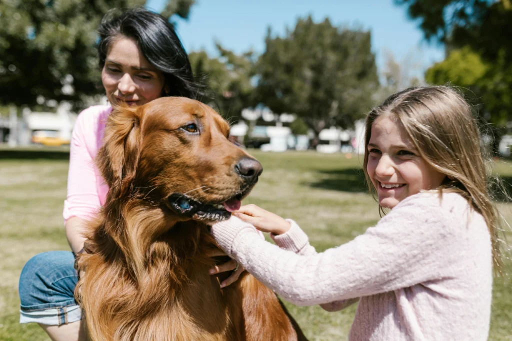 Best Low Maintenance Family Dogs 2026: The Complete Breed Selection Guide