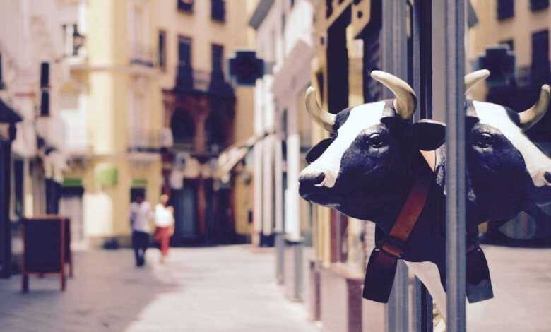 Pet Cow-Friendly Travel: A Guide to Exploring the World