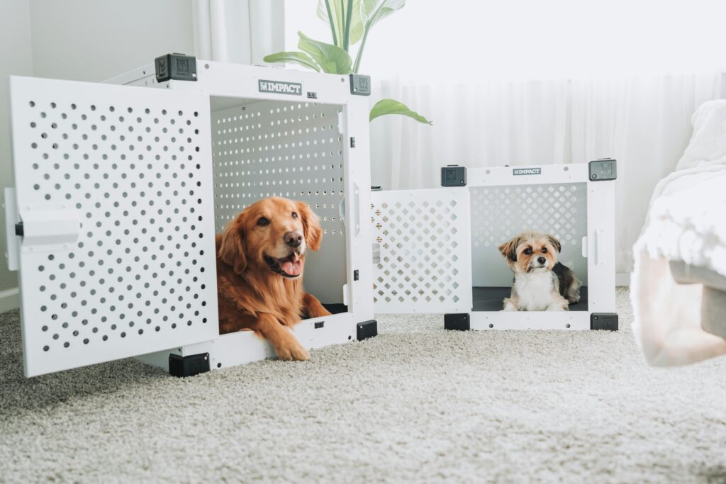 Free Insulated DIY Dog House Plans: Build Your Dog a Stylish Home in 2026