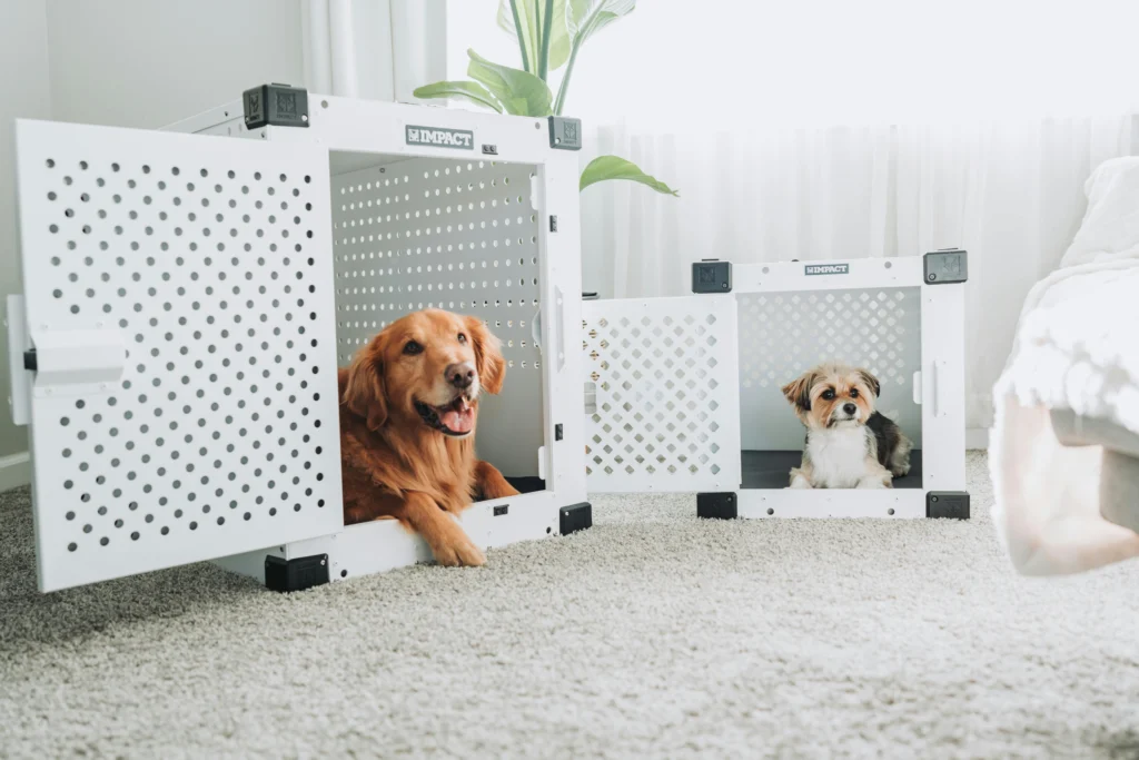 Free Insulated DIY Dog House Plans: Build Your Dog a Stylish Home in 2026