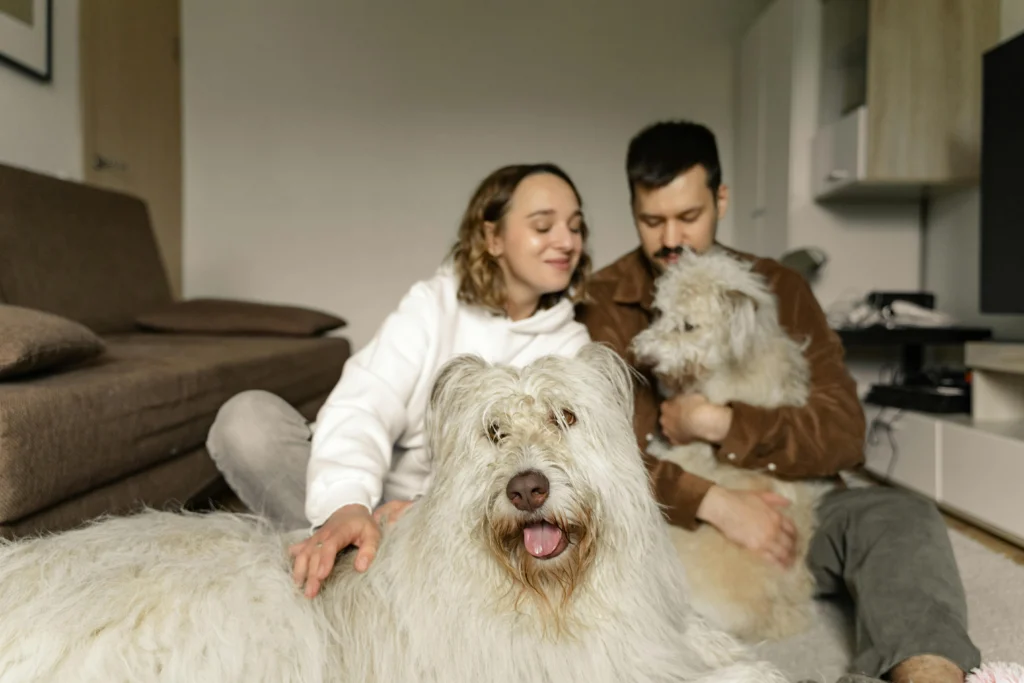 How to Get Rid of Dog Dandruff: The Complete Causes, Symptoms and Treatment Guide 2026