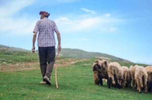 How to Raise Farm Animals on a Small Scale: Easy Homesteading Guide for Beginners (2026)
