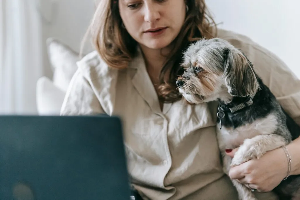 Is Pet Insurance Worth It for Older Pets: The Ultimate Guide to the Top 9 US Pet Insurance Providers in 2026