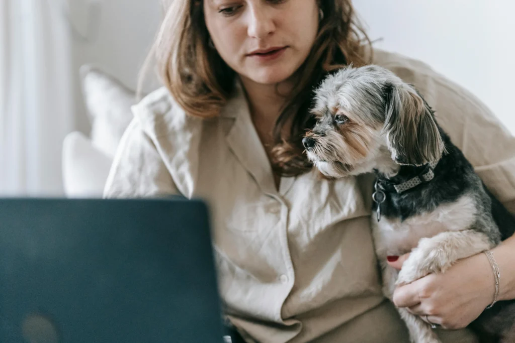 Is Pet Insurance Worth It for Older Pets: The Ultimate Guide to the Top 9 US Pet Insurance Providers in 2026