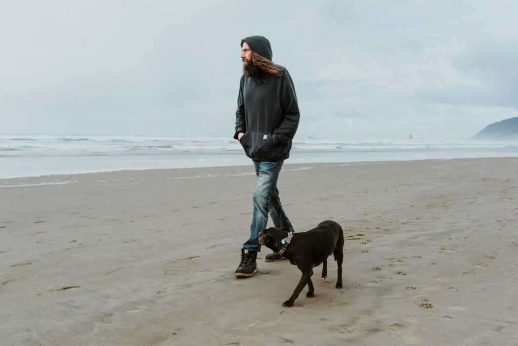 What to Put in Dog Food to Stop Eating Poop