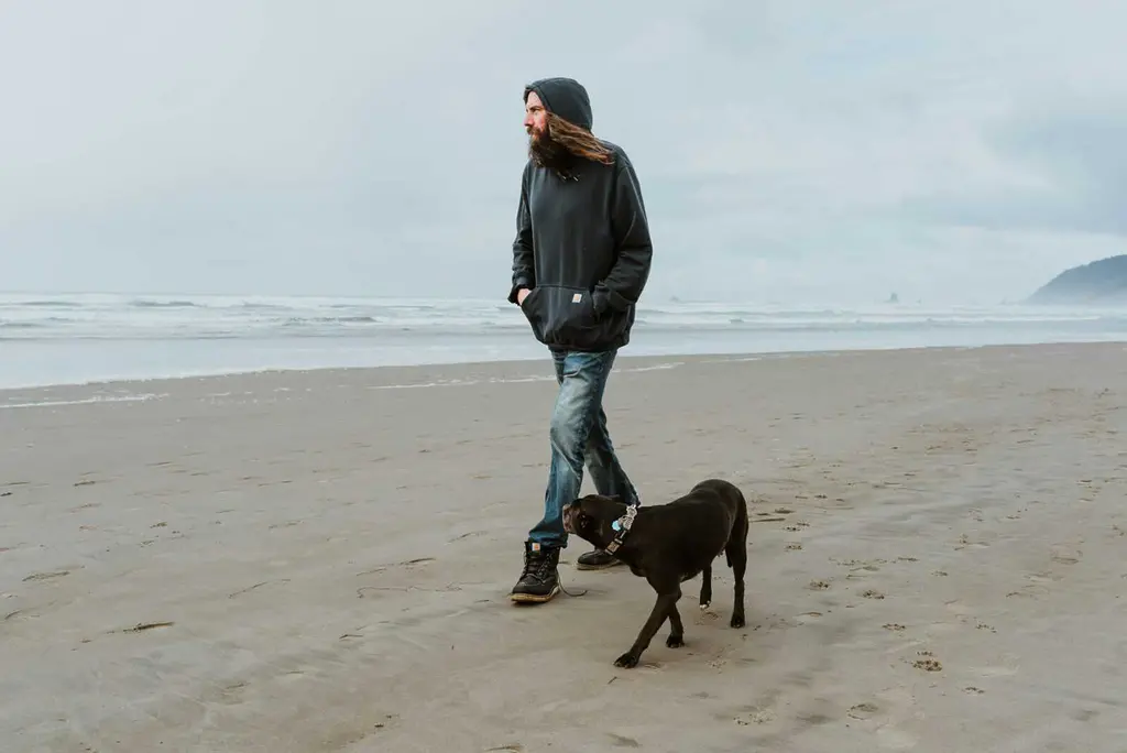 What to Put in Dog Food to Stop Eating Poop