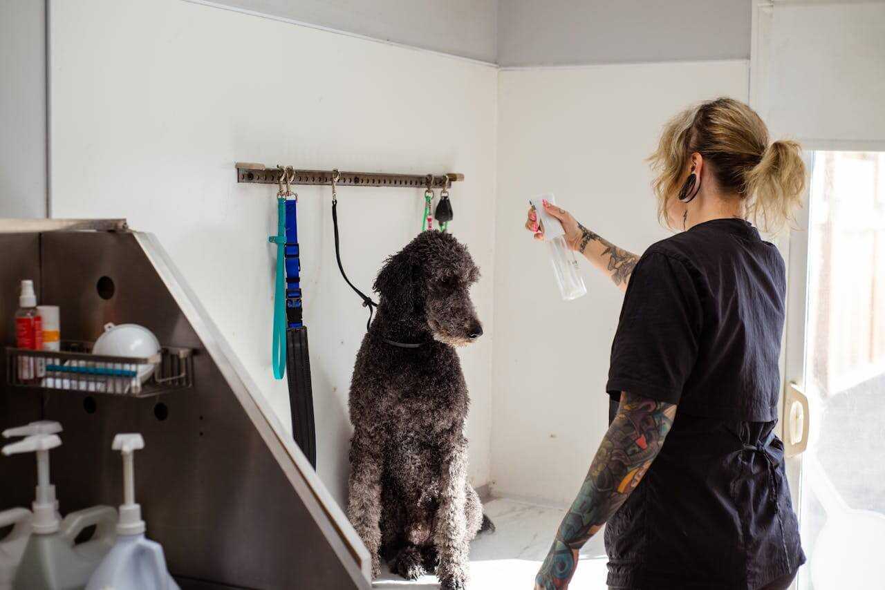 PetSmart Grooming: Unleash Your Pet's Inner Star in 12 Easy Steps