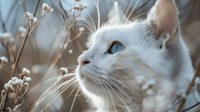 Roundworms in Cats: 3 Powerful Ways to Prevent and Treat Roundworms