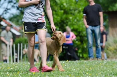 Charlotte Dog Club: Unleash the Epic Fun! 7 Unmissable Events in 2026 Charlotte Dog Club: Unleash the Epic Fun! 7 Unmissable Events in 2026