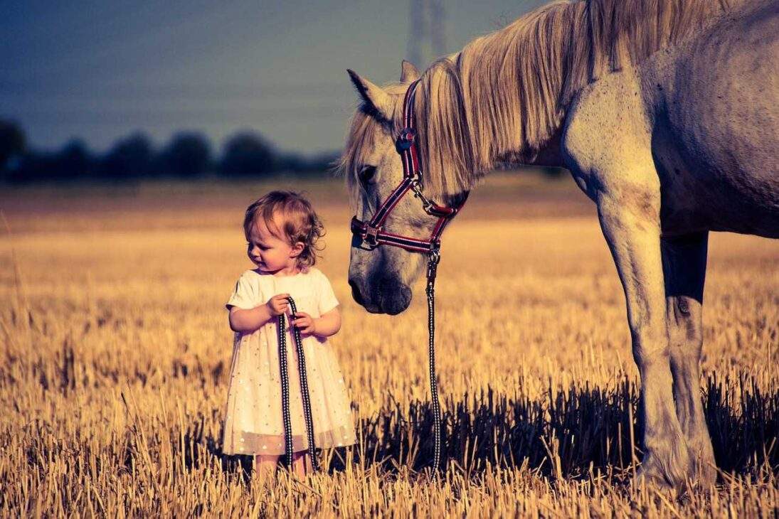 Pony Power: 10 Reasons Why Ponies Make Perfect Family Companions (US)