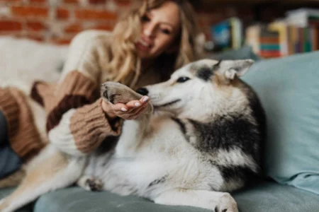 Healthy Paws: 10 Pawsome Ways to Keep Your Pup’s Feet Fit Healthy Paws: 10 Pawsome Ways to Keep Your Pup's Feet Fit