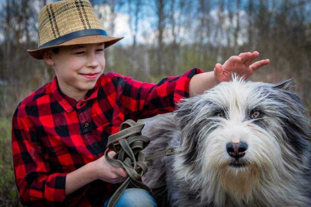 Dog Joint Health: 9 Proven Ways to Beat Dog Obesity in 2026