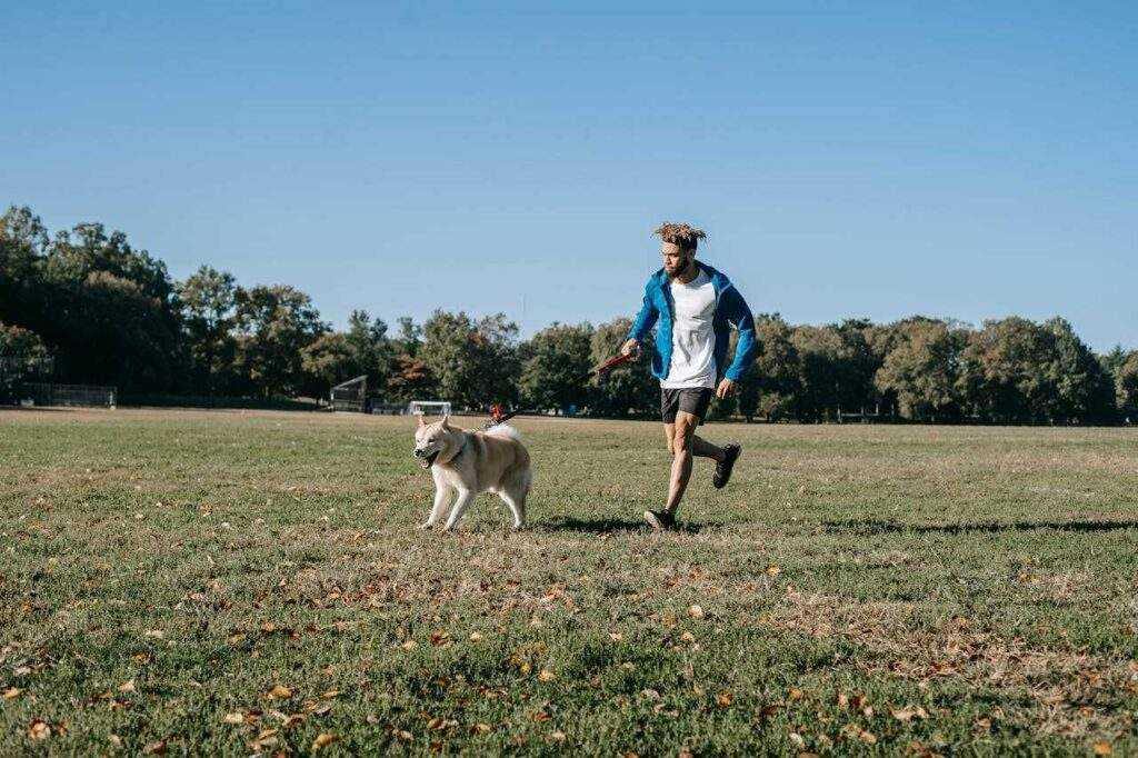 Charlotte Dog Club: Unleash the Epic Fun! 7 Unmissable Events in 2026