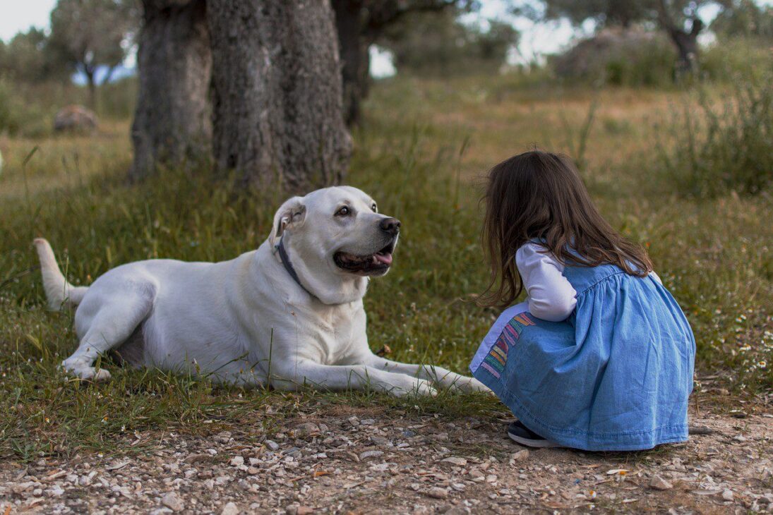 Unlocking Pets Mental Health: Expert Tips for Supporting Your Pet's Emotional Well-being