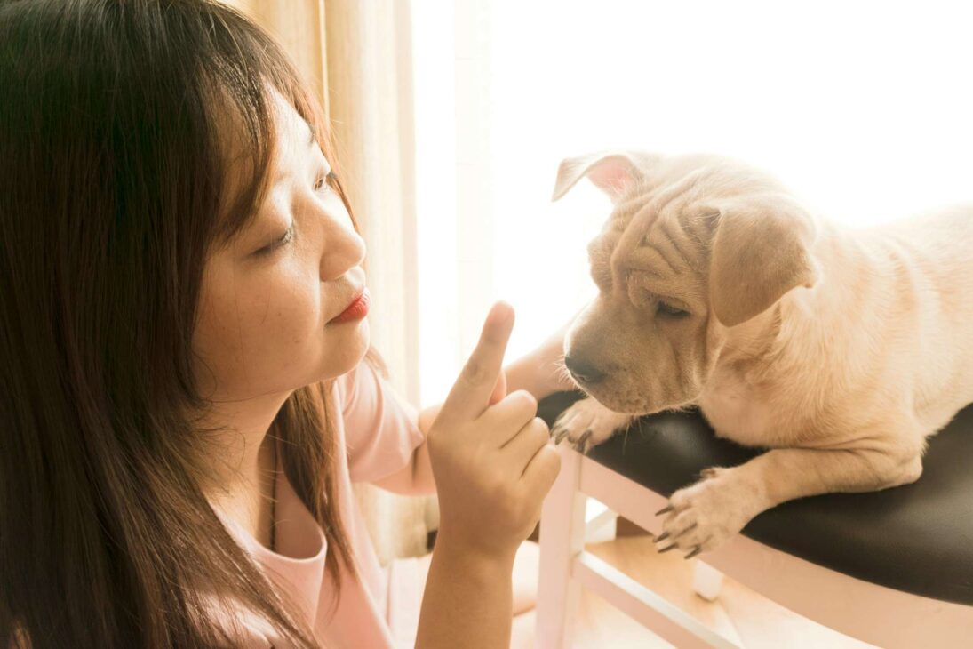 Pets Are Medicine: Top 10 Health Benefits Backed by Science