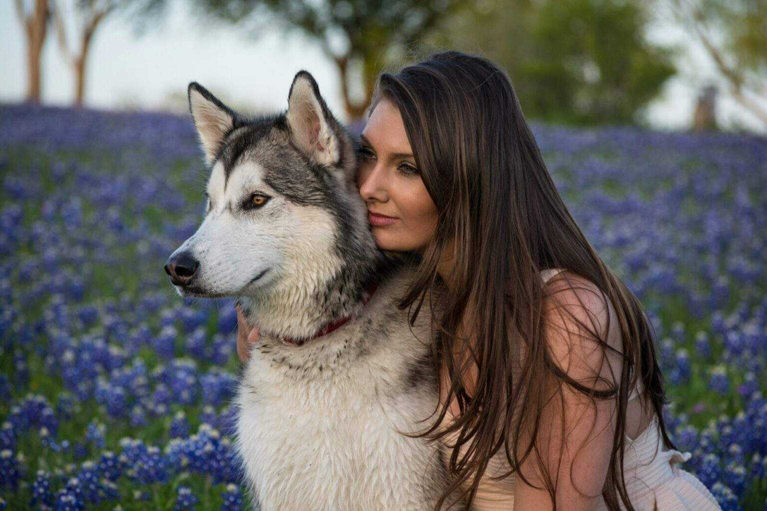 Pets and Human Health: 6 Incredible Scientific Benefits for Your Well-being Pets and Human Health: 6 Incredible Scientific Benefits for Your Well-being