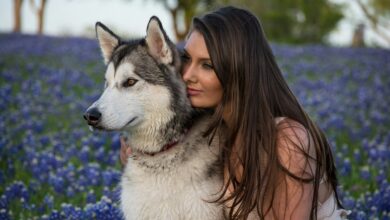 Pets and Human Health: 6 Incredible Scientific Benefits for Your Well-being