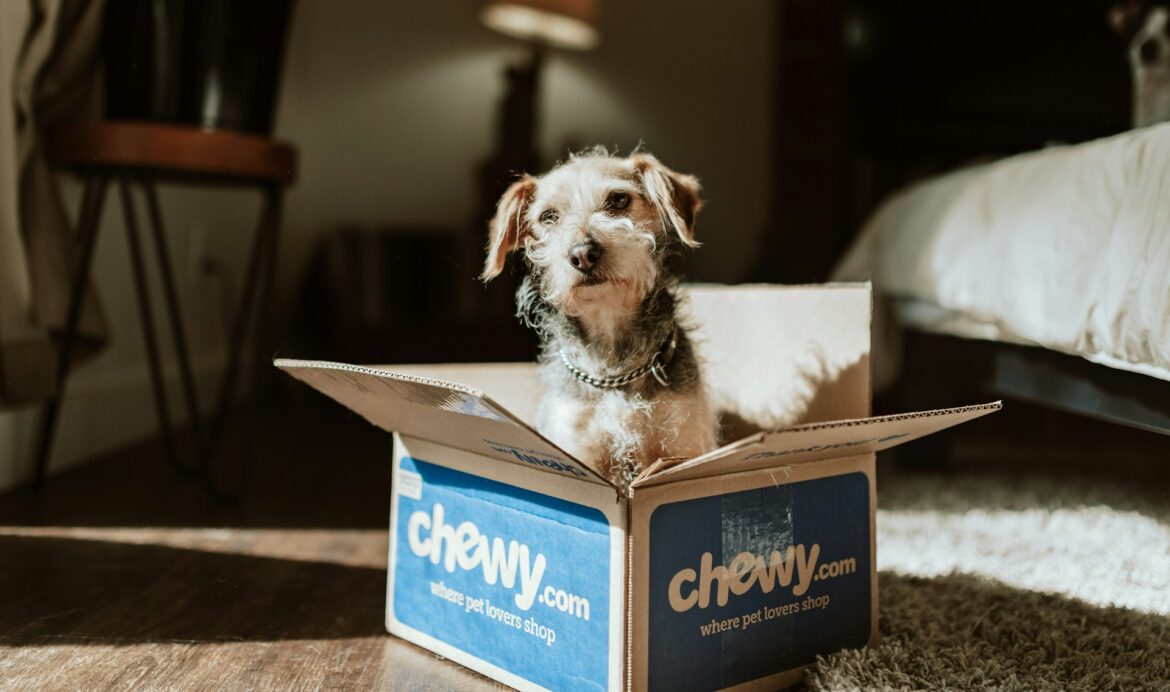 Green Living, Happy Pets: Sustainable Choices for Your Furry Friend