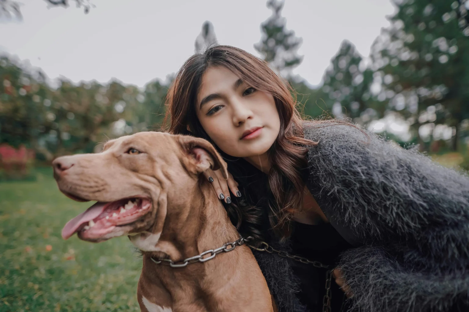 Pitbull Grooming 101: Essential Tips Pitbull Grooming