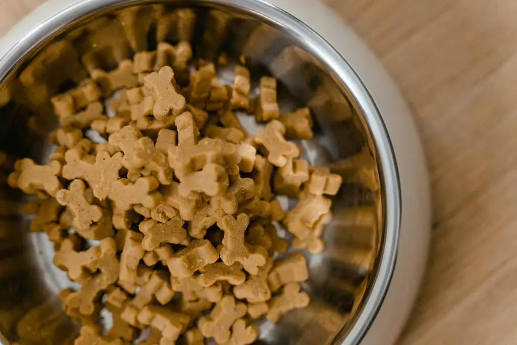 Best Large Breed Puppy Food for Slow Growth & Joint Health