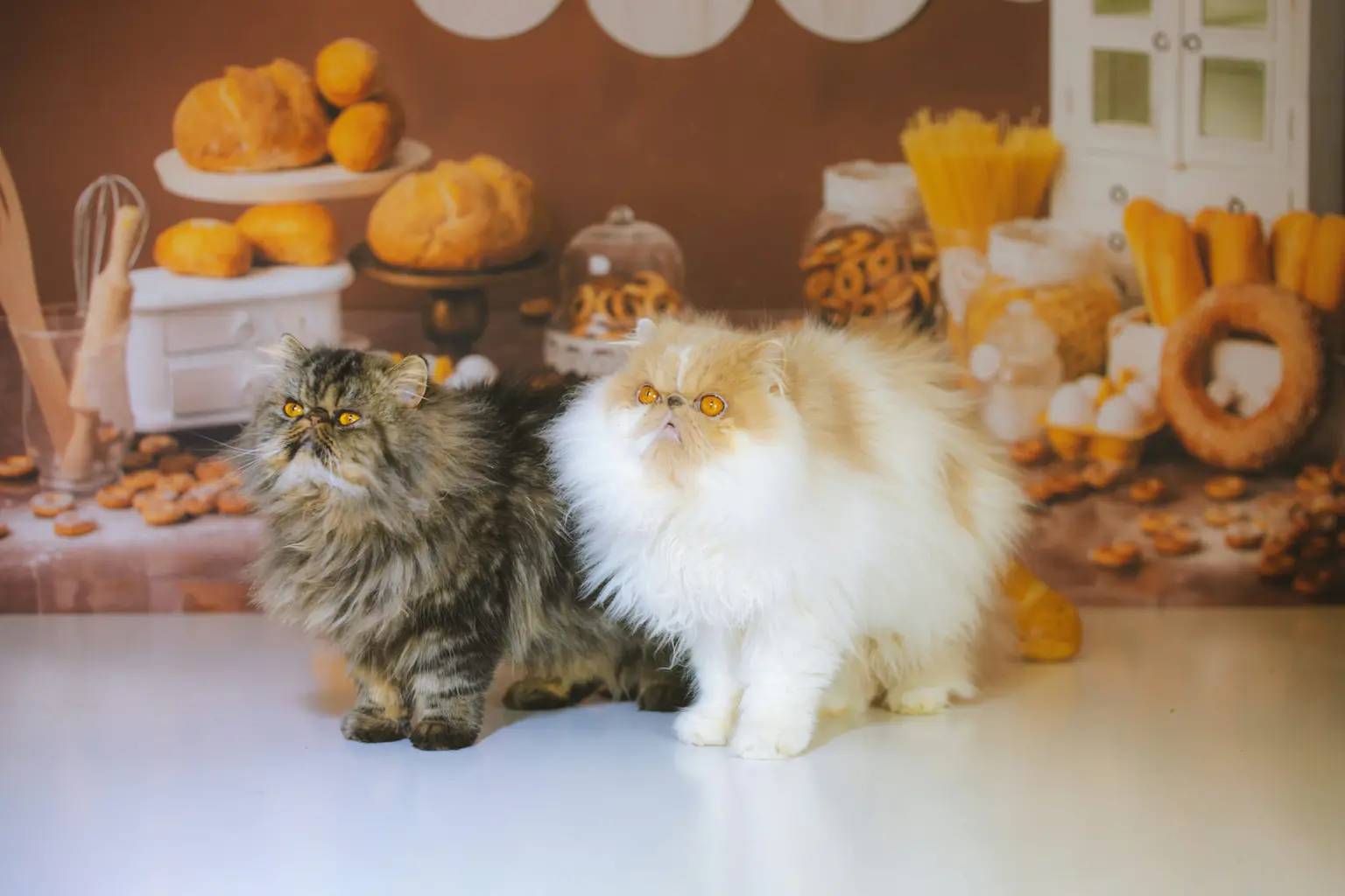 Professional Pet Chef Services: Your Complete Safety-First Guide to Gourmet Pet Nutrition in 2026 Pet Chef Services