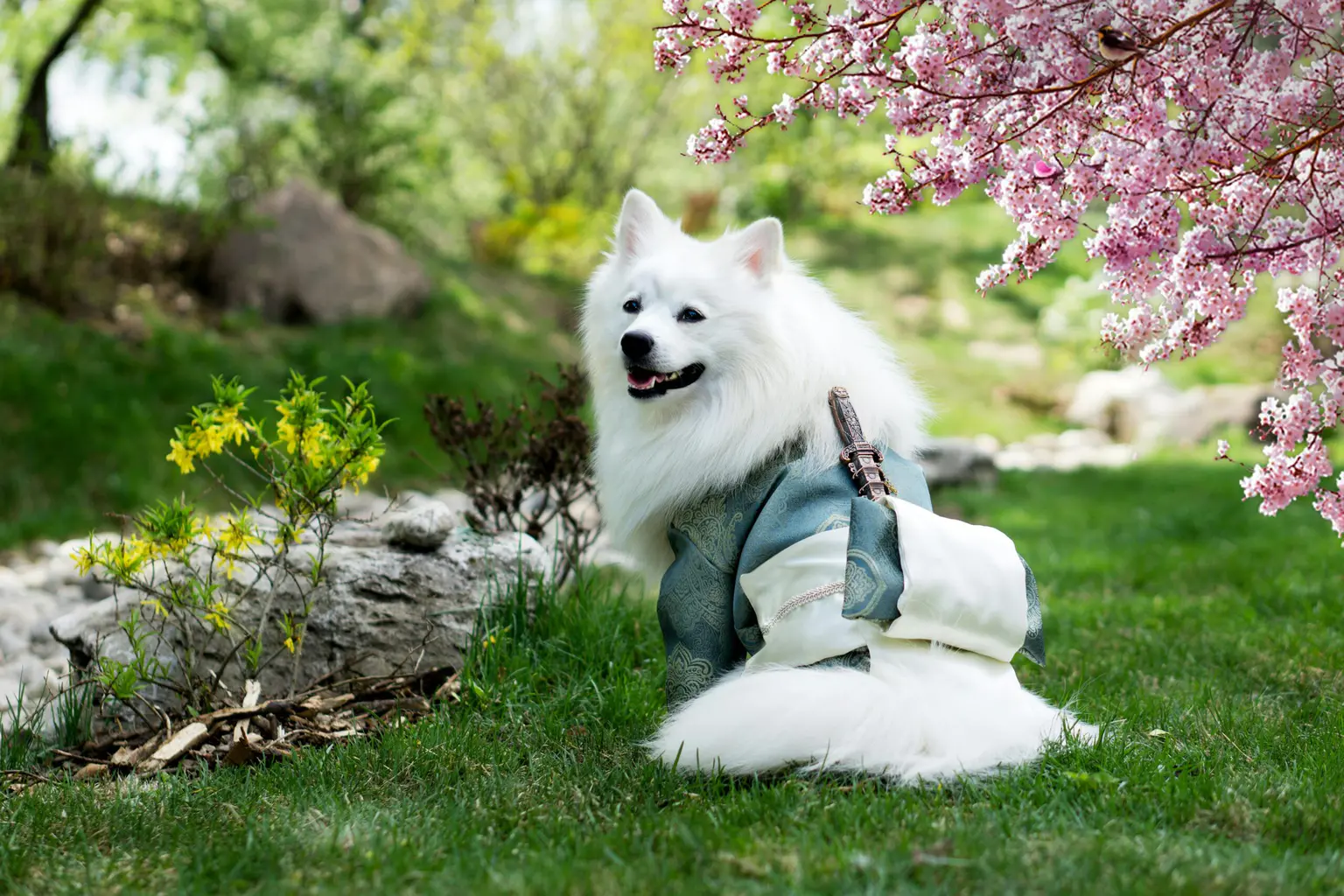 Emergency Veterinary Care: Critical Deworming Signs That Require Immediate Professional Treatment Emergency Veterinary Care: Critical Deworming Signs That Require Immediate Professional Treatment