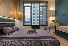 Luxury Pet Hotels