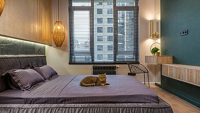 Luxury Pet Hotels